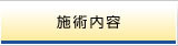 施術内容