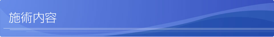 施術内容